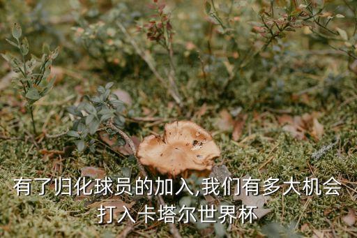 中國足球 國人的心病...